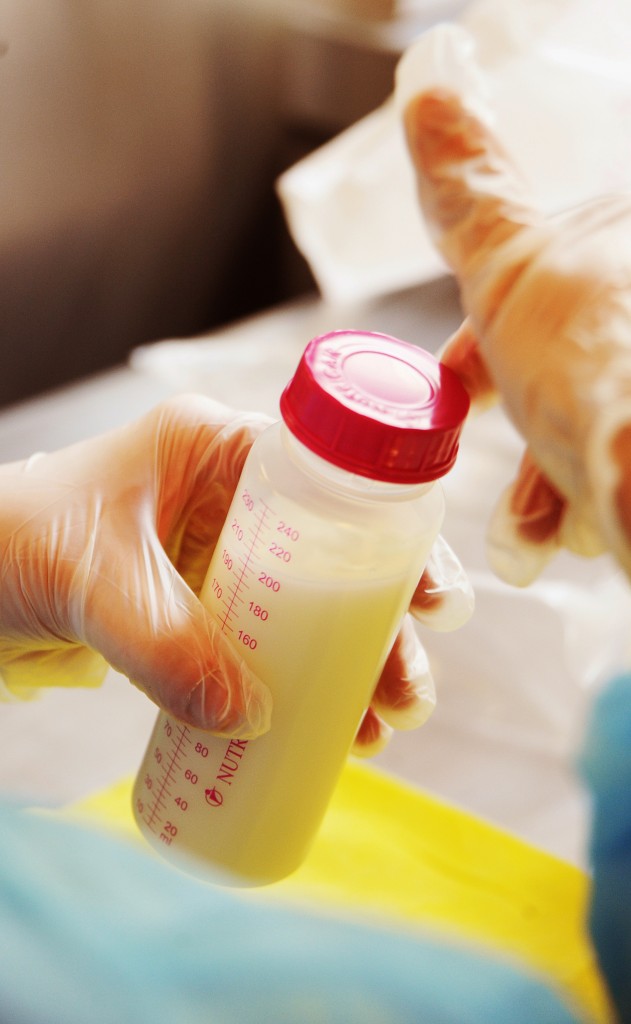 lactarium fermeture du biberon 150713