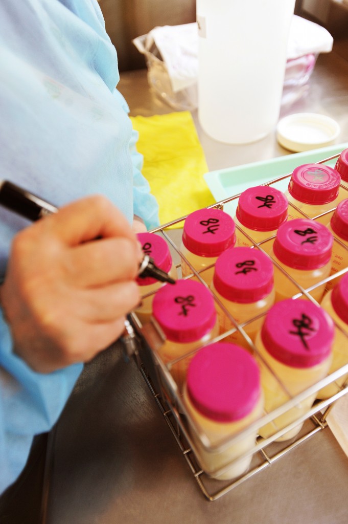 lactarium marquage dse biberons 150713