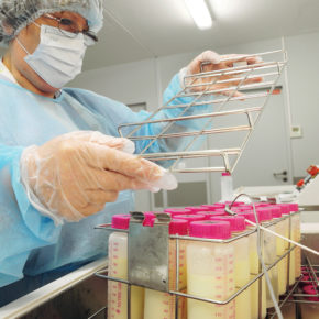 lactarium panier 1 150713