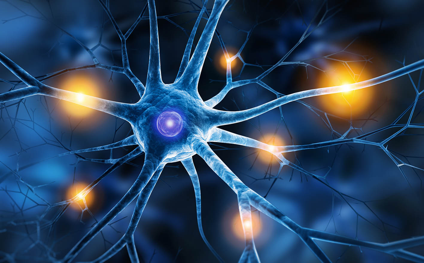 Rare epilepsies - Site internet maladies rares de l'hôpital Necker