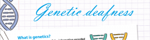 Vignette flyer genetic deafness